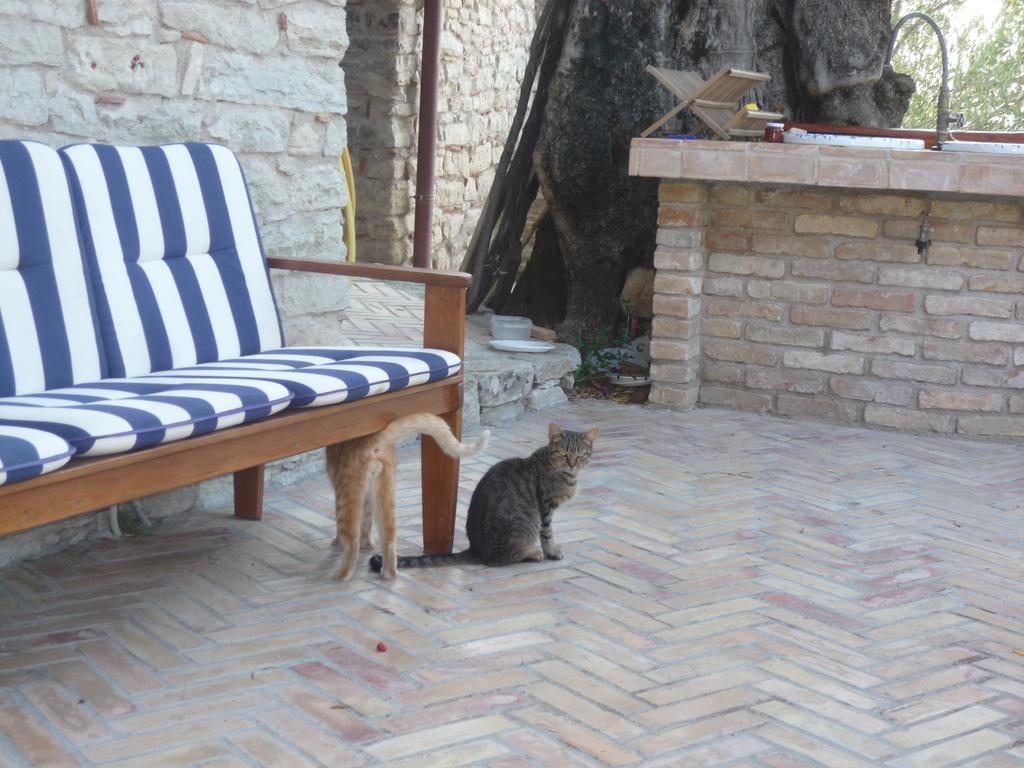 Rocca Del Vento Bed & Breakfast San Pantaleone Екстериор снимка